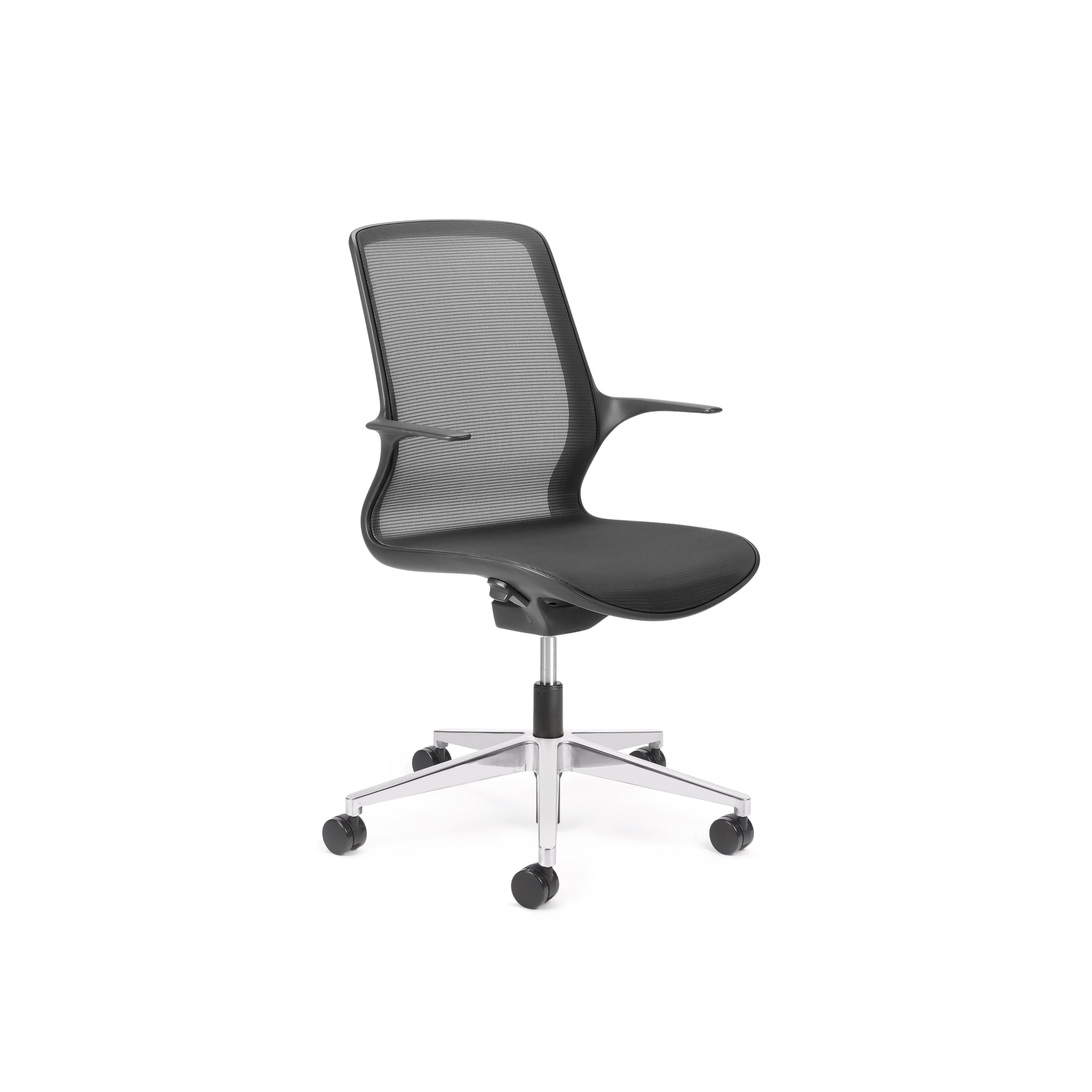 Ovidio Hi-Arch Polished
