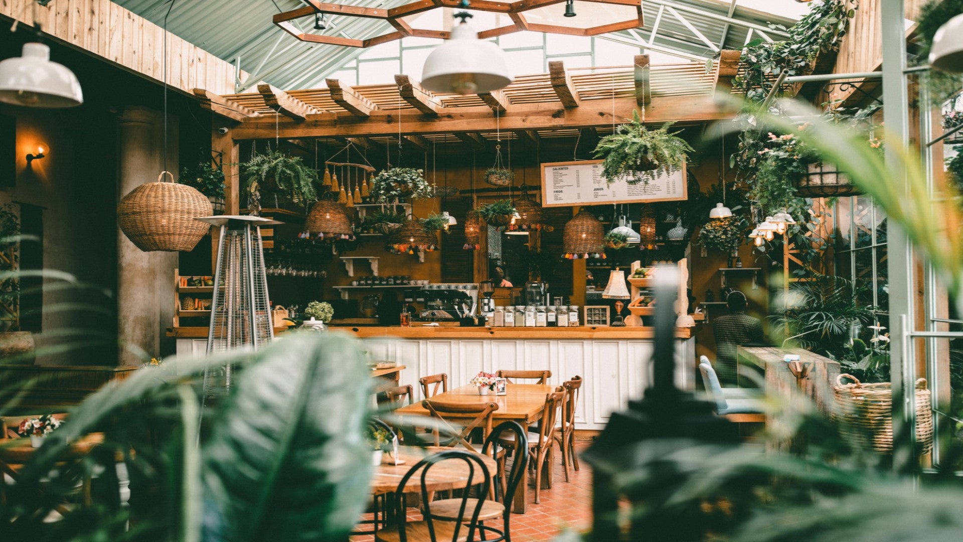 Interior of a cozy restaurant with wooden furniture and plants